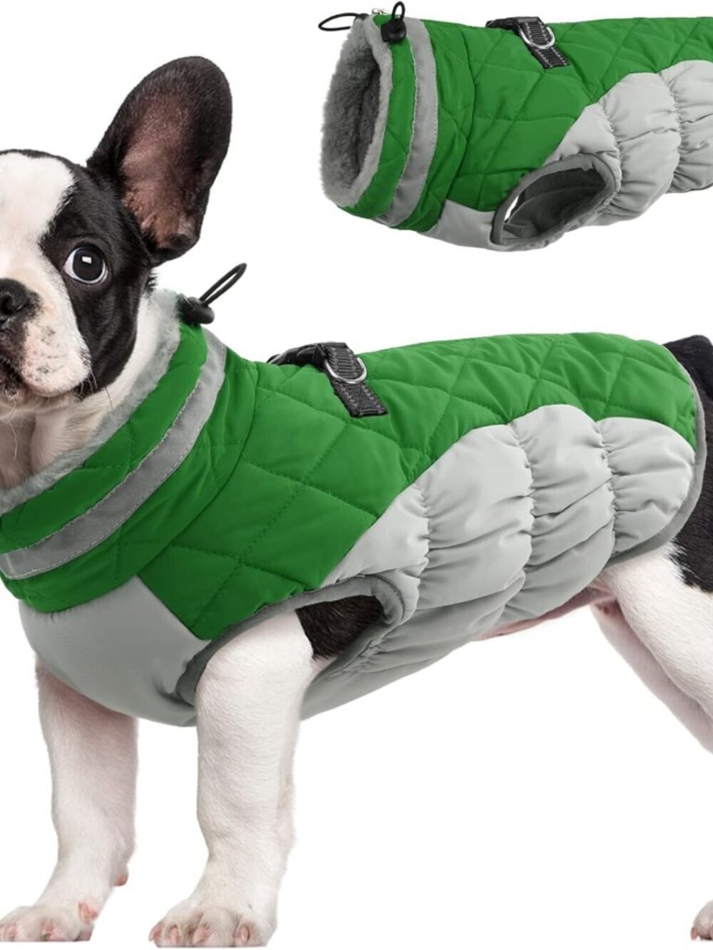 FUAMEY Dog Coat for Medium Dogs